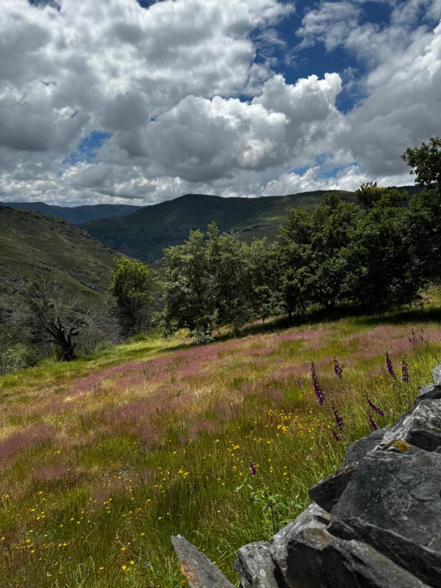 Appartamento A Barreira -Lar Da Cima- Folgoso do Courel Esterno foto