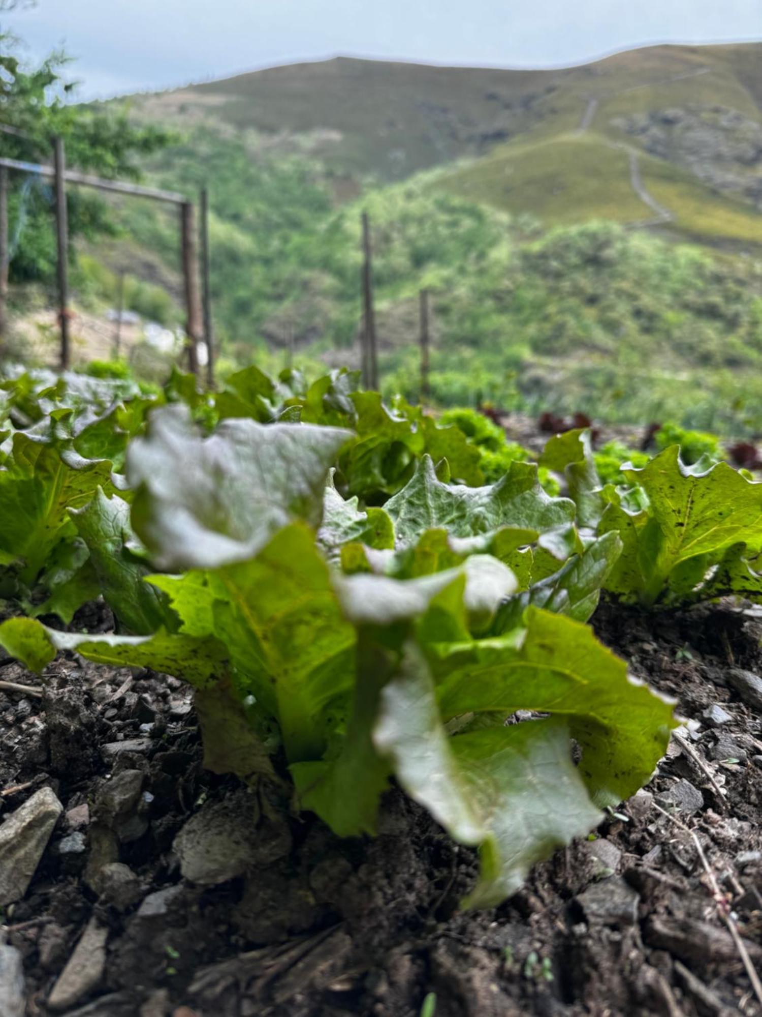 Appartamento A Barreira -Lar Da Cima- Folgoso do Courel Esterno foto