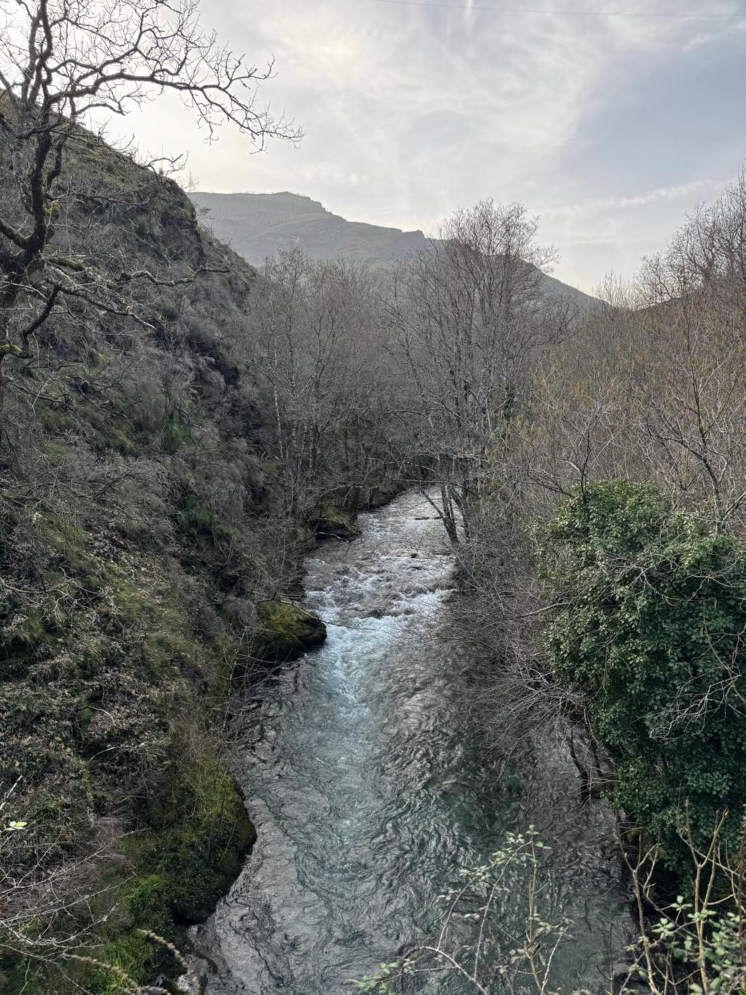 Appartamento A Barreira -Lar Da Cima- Folgoso do Courel Esterno foto