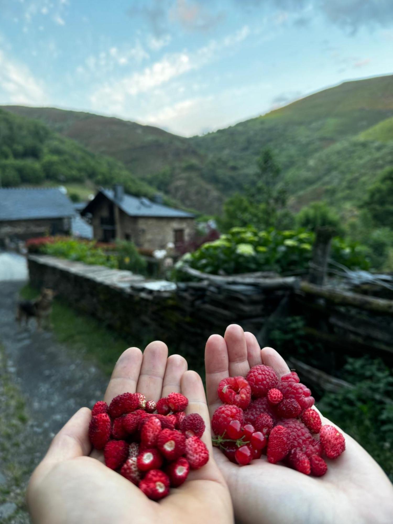 Appartamento A Barreira -Lar Da Cima- Folgoso do Courel Esterno foto